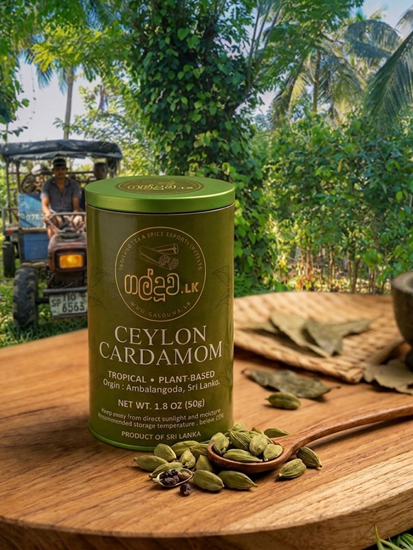 Ceylon Cardamom