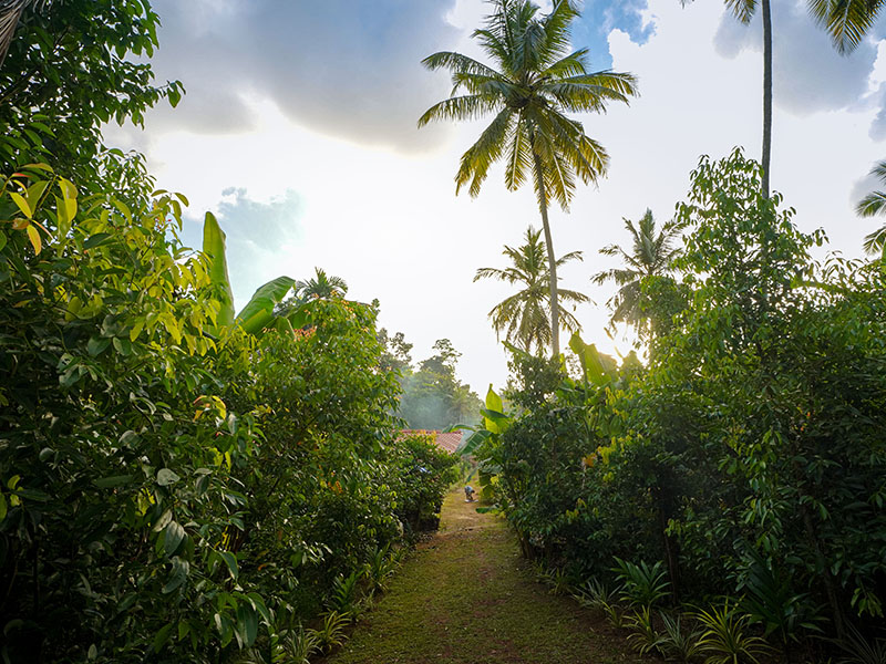 Estate grounds